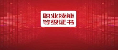 职业技能等级证书怎么查询真假？