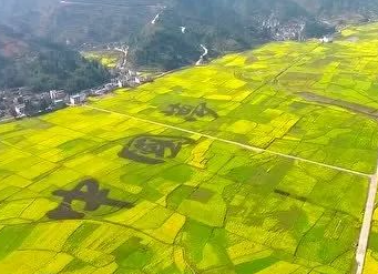 贵州铜仁：“四个强化”全力推进农业农村乡土人才队伍建设